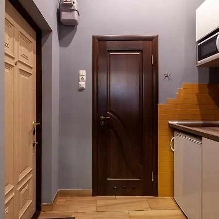 Ogienko Street Center Apartment Lviv Exterior photo